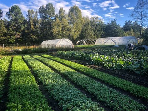  Ecological Agriculture: A Colombian Perspective on Sustainable Farming